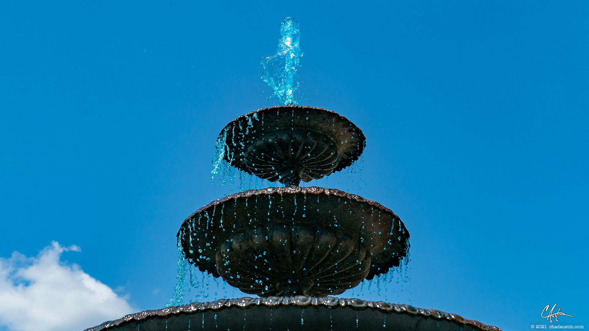 Chad Austin, Inc., artsy photography